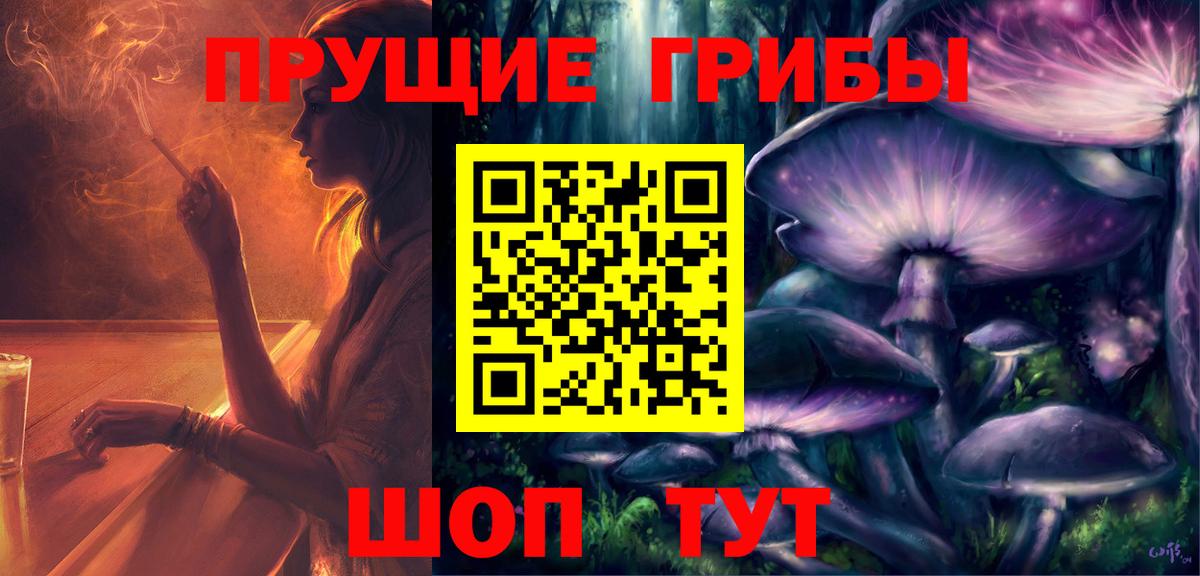 закладка  Вход с VPN  Калининград  Галлюциногенные грибы прущие грибы 